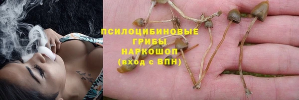 МДПВ Алзамай