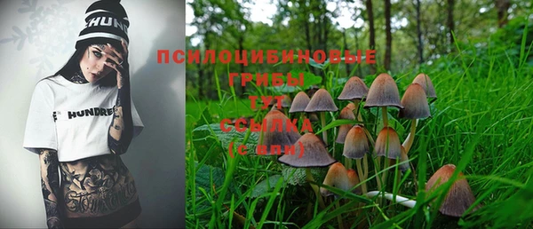 герыч Алексин