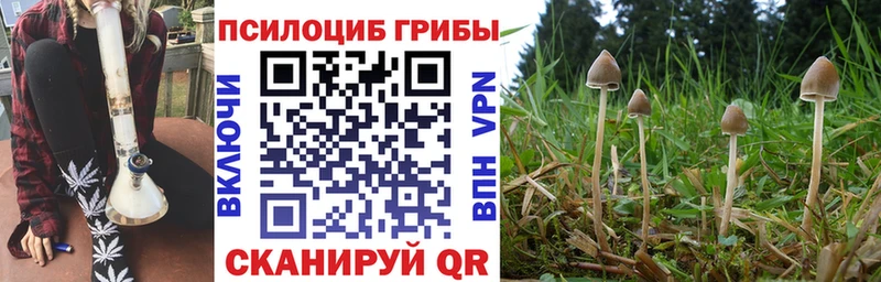 Галлюциногенные грибы Cubensis сколько стоит Уяр